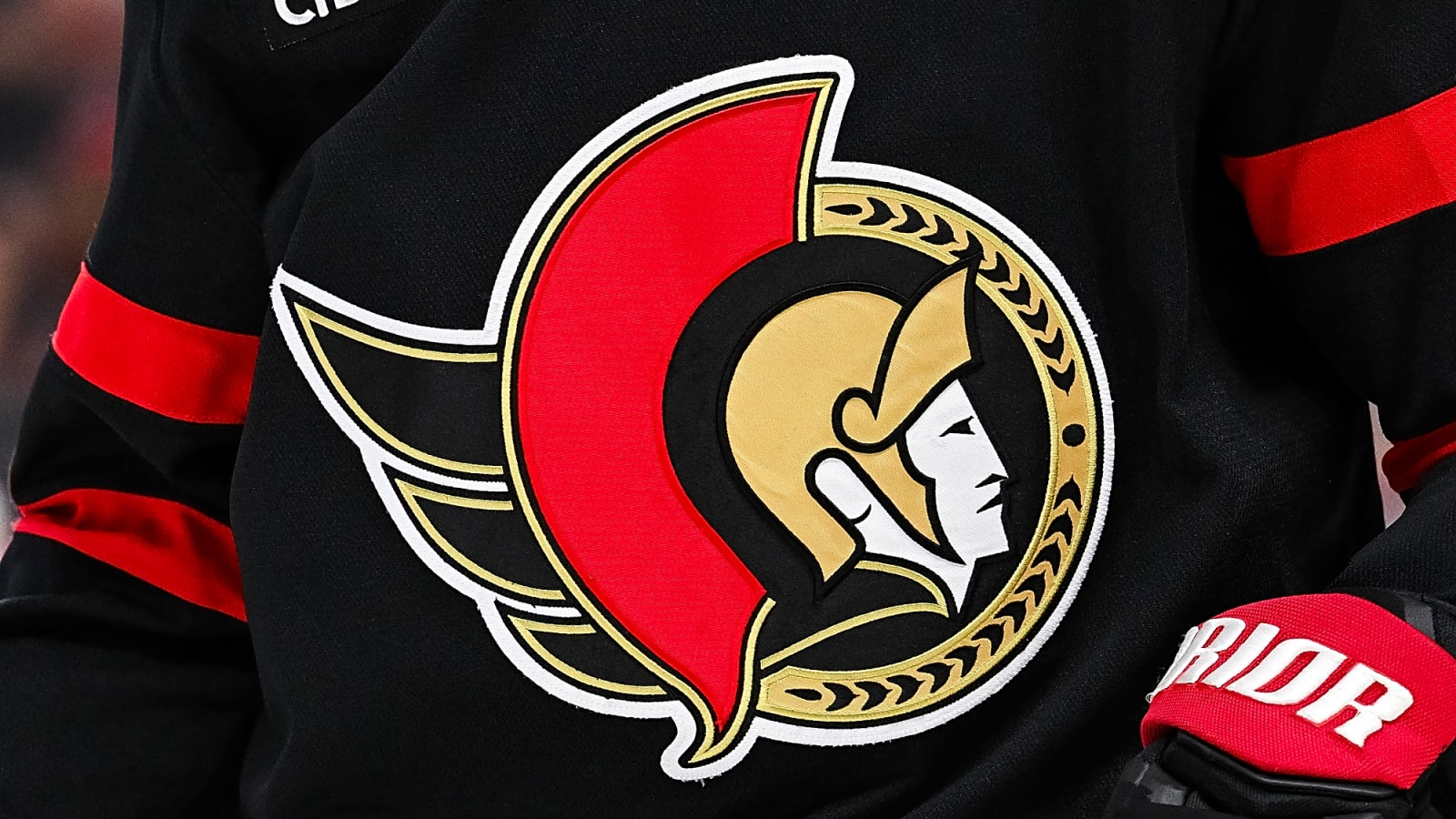 Allen Americans become Senators’ ECHL affiliate
