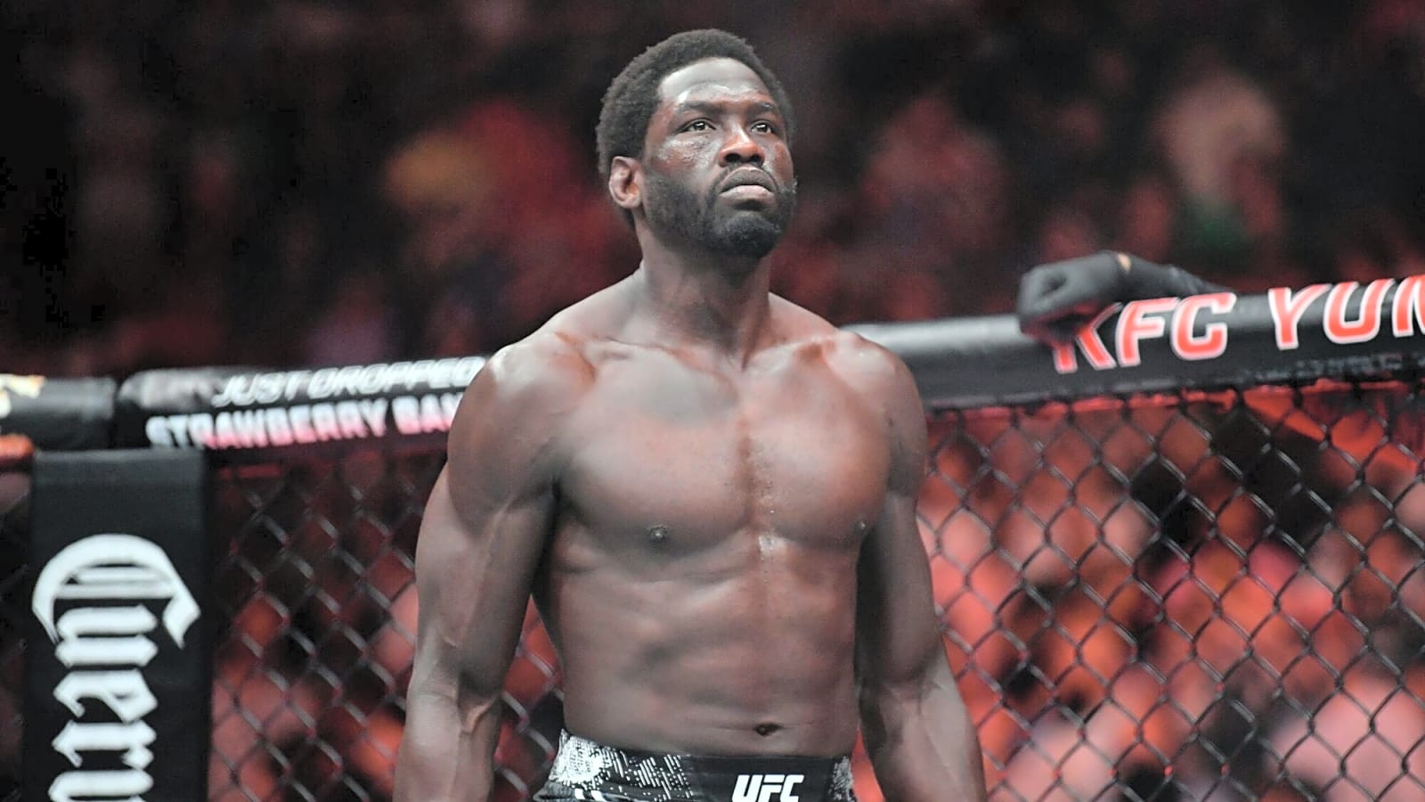 UFC 319 Preview and Prediction: Jared Cannonier – Michael 'Venom' Page
