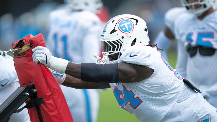 Titans Promote DT Timmy Horne