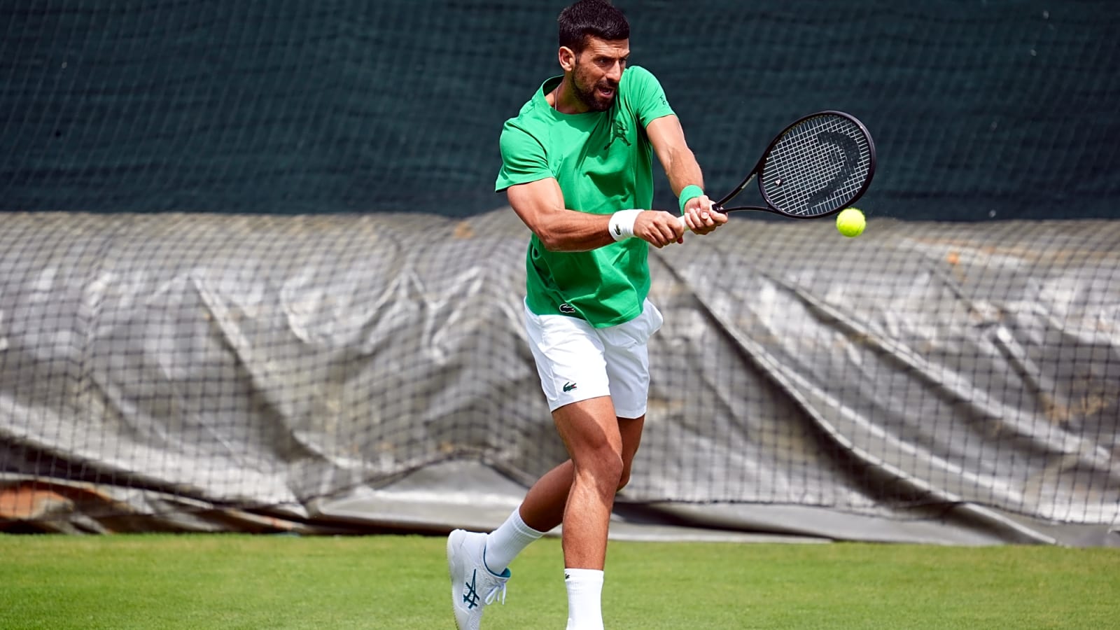 The quest for 25: Novak Djokovic back at Wimbledon, eyes Federer&#39;s record