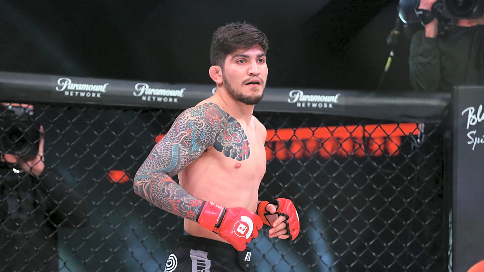 Dillon Danis denies substance abuse involvement