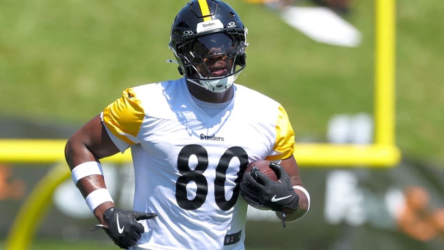 Steelers' Troubling Situation With Darnell Washington Has A Clear Answer Among Other Injury Notes