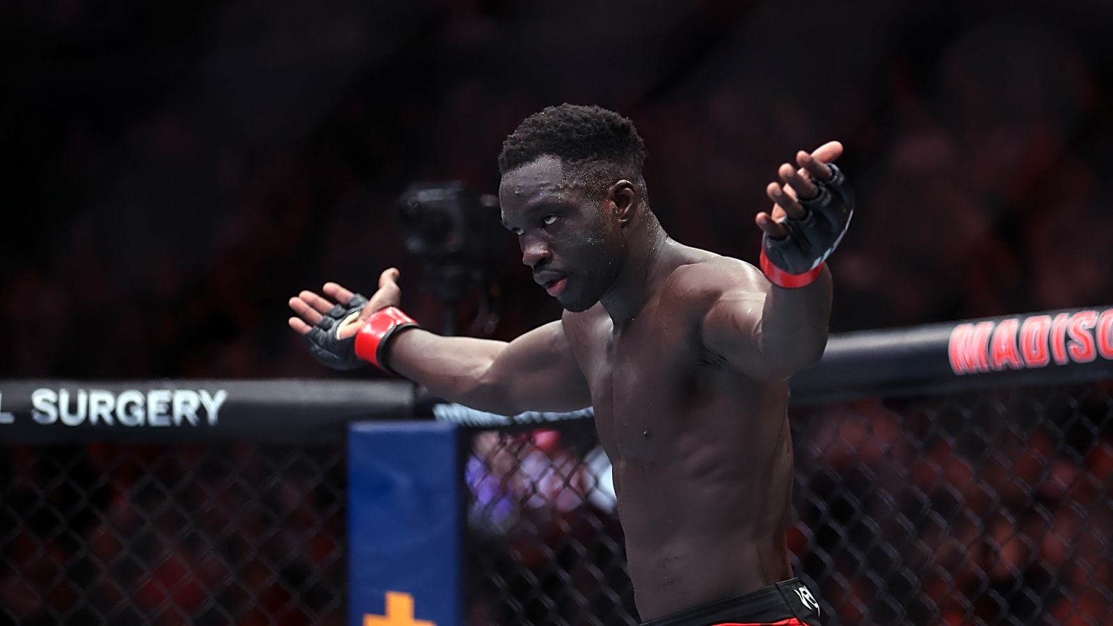 UFC Vegas 110: Preview and Full Bout Order