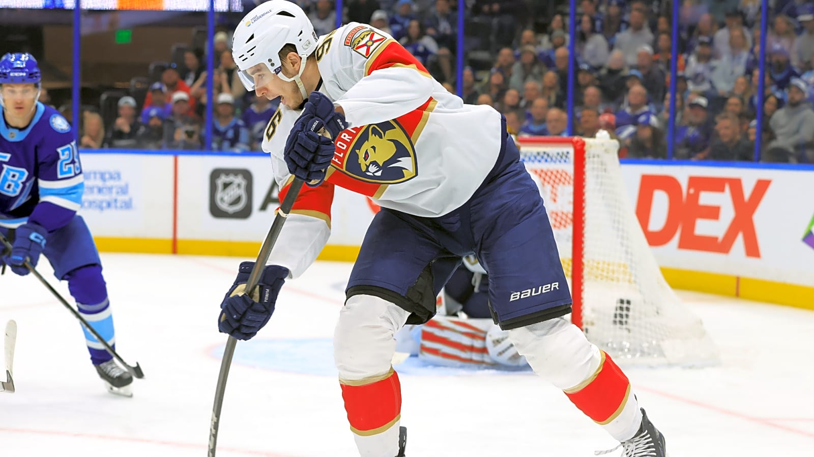 Panthers Reassign Mikulas Hovorka