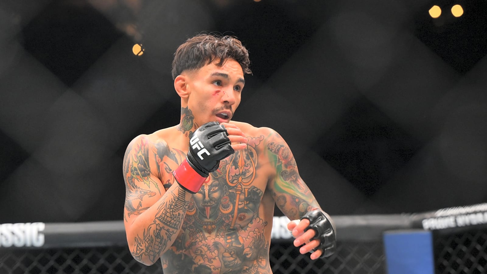 UFC Fight Night – Andre Fili vs. Christian Rodriguez: Preview & Betting Tips