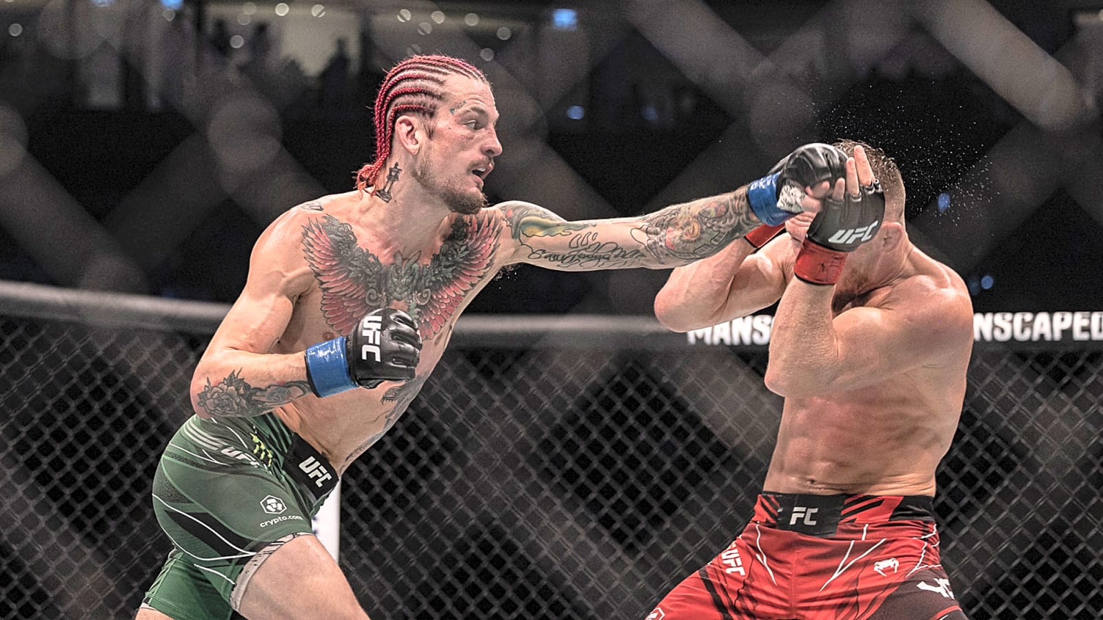 When Will Sean O’Malley Return?