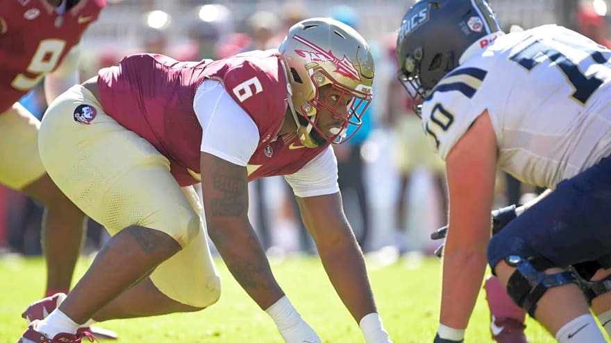 Minnesota Vikings: Host Run-Stopping Nose Tackle for 30-Visit
