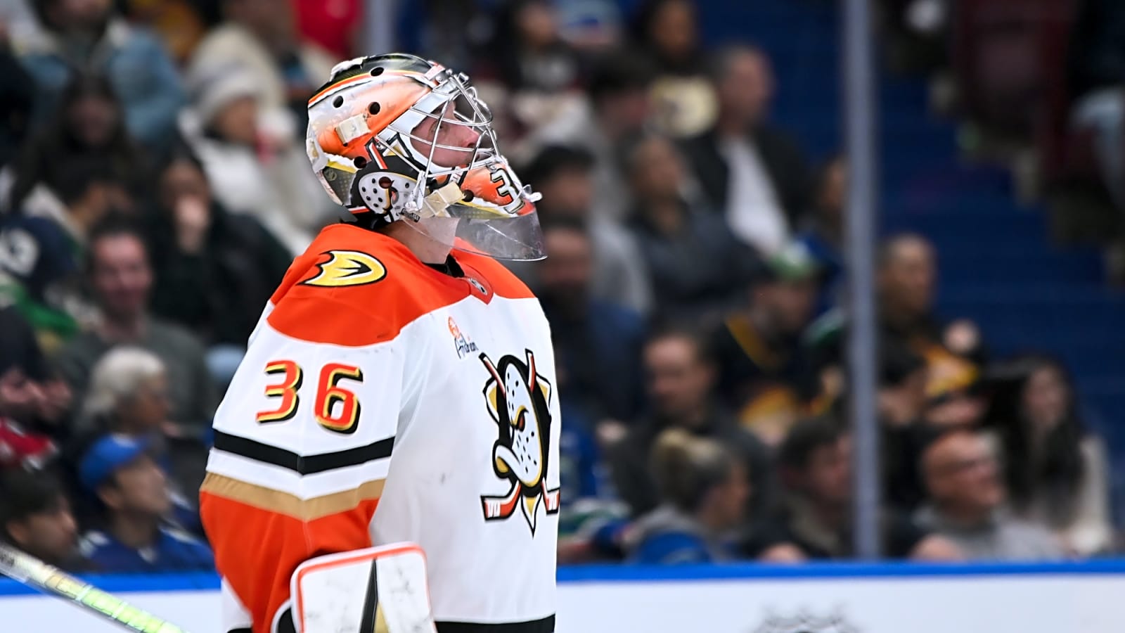 Red Wings Acquire John Gibson from Ducks for Petr Mrazek, Picks
