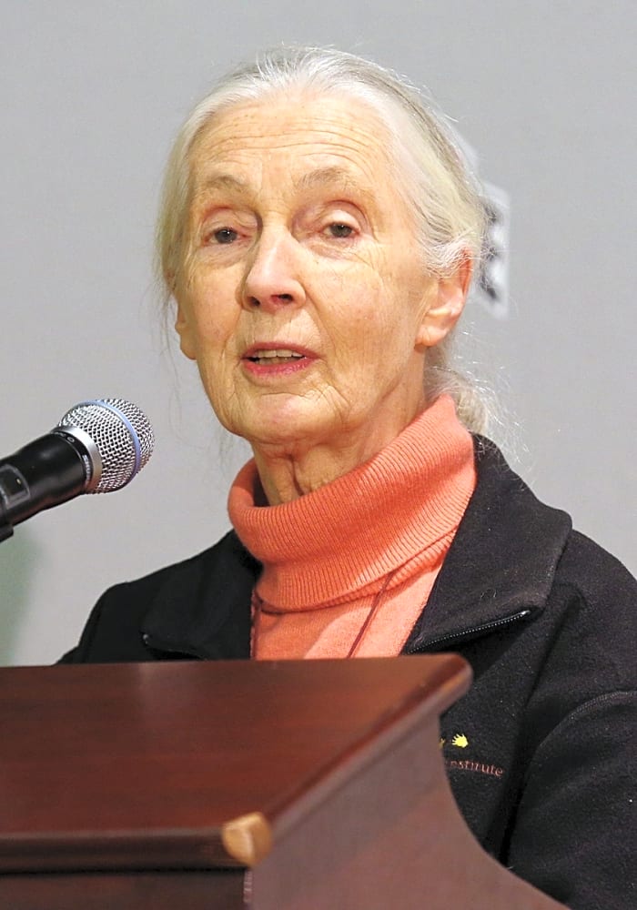 Jane Goodall