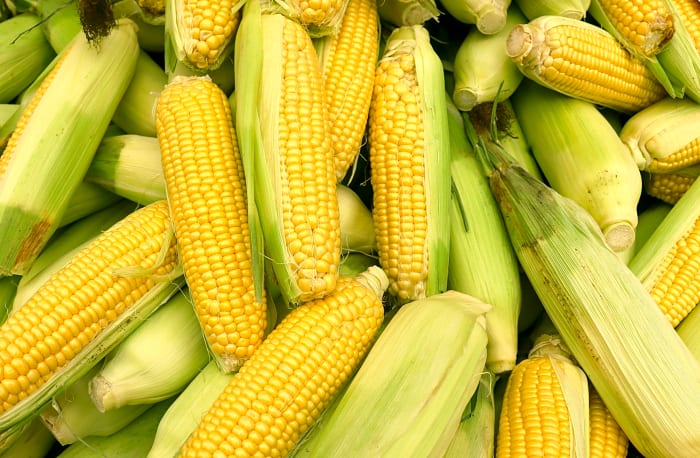 Corn
