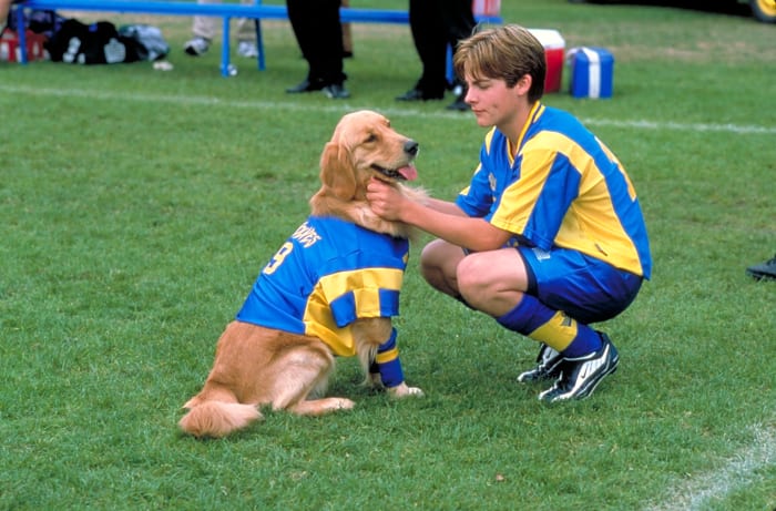 “Air Bud: World Pup” (2000)