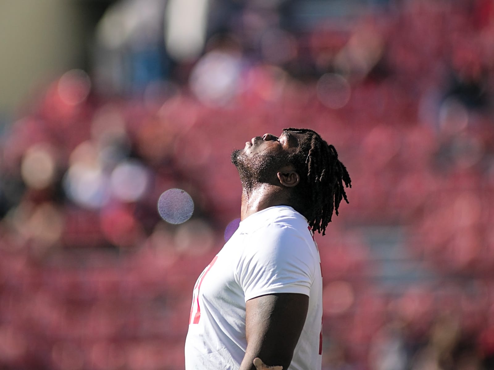 Rita porcu desnuda This site uses cookies to improve your