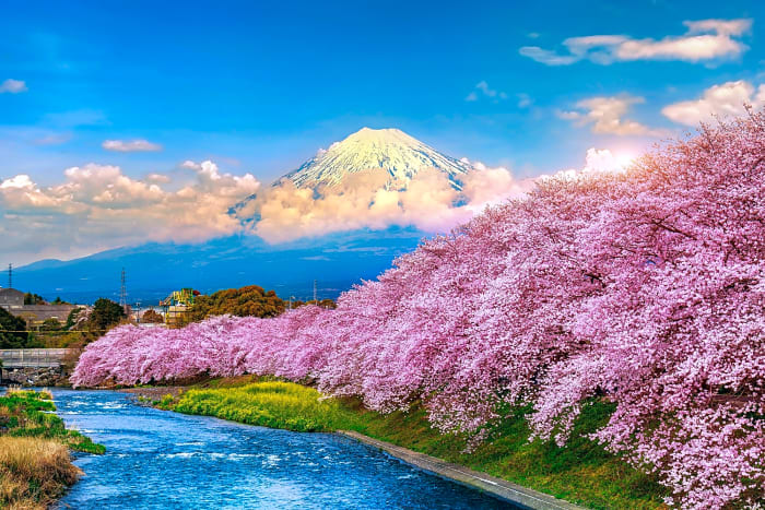 Japan