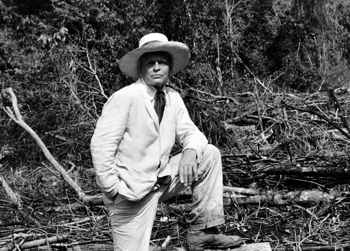 Fitzceraldo, Amazon Prime