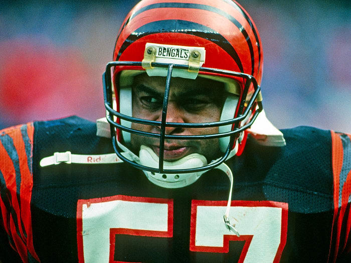 Cincinnati Bengals: Reggie Williams