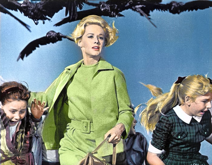“The Birds” (1963)