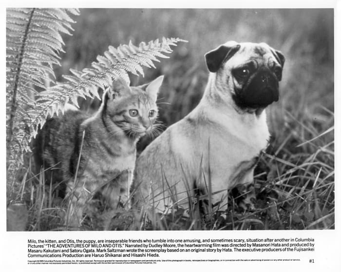 The Adventures of Milo and Otis