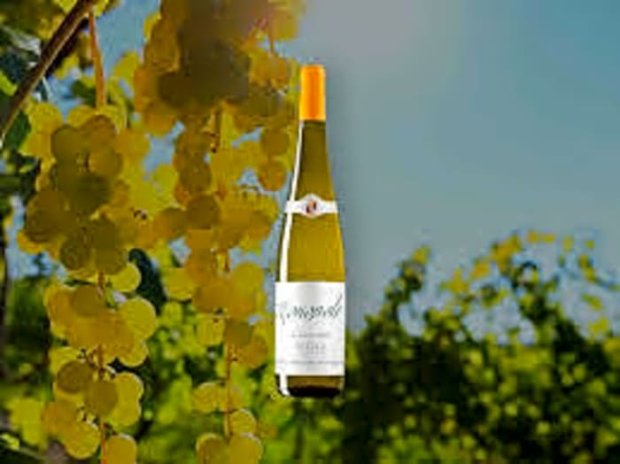Monopole Rioja