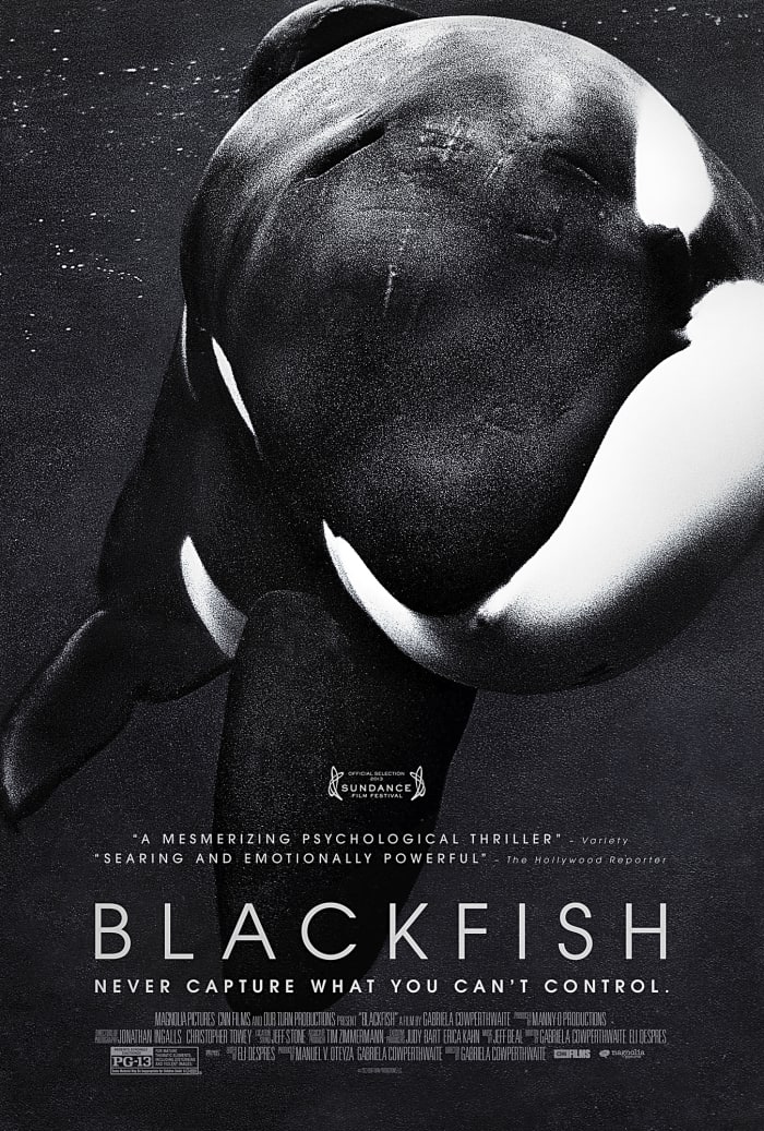'Blackfish'