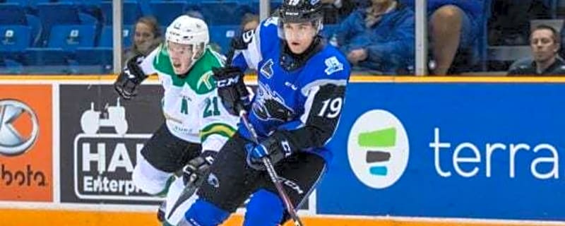 Joshua Roy Wants an NHL Job Next Season, With or Without the Canadiens