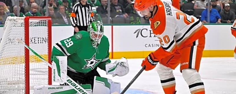 Anaheim Ducks Young Stars Producing Results