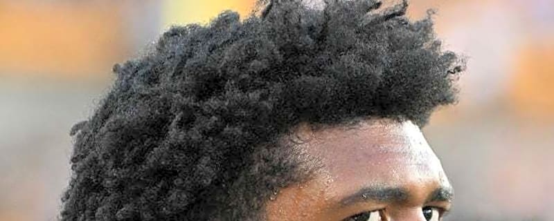 Steelers DT Derrick Harmon sprains knee in preseason finale