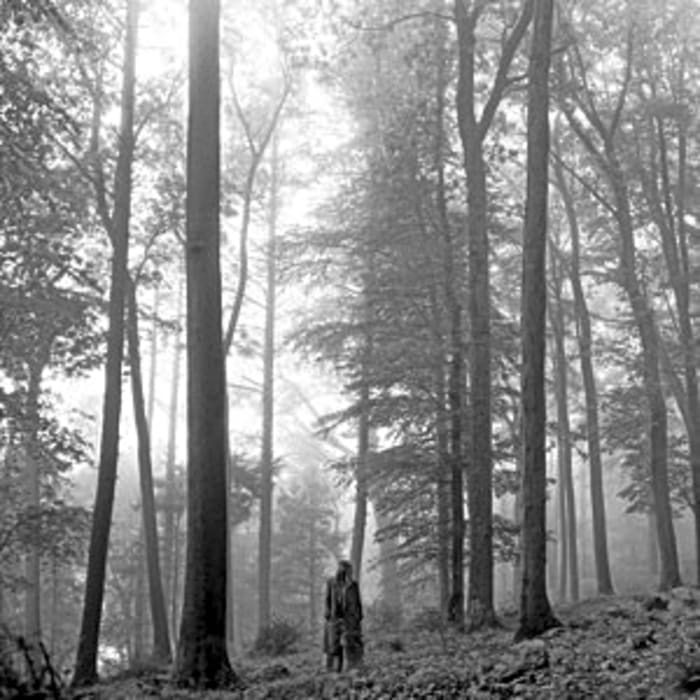 Taylor Swift — “The Last Great American Dynasty”