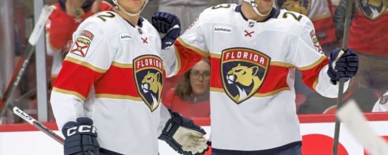 The Minnesota Wild Take Advantage of the Sale in South Florida