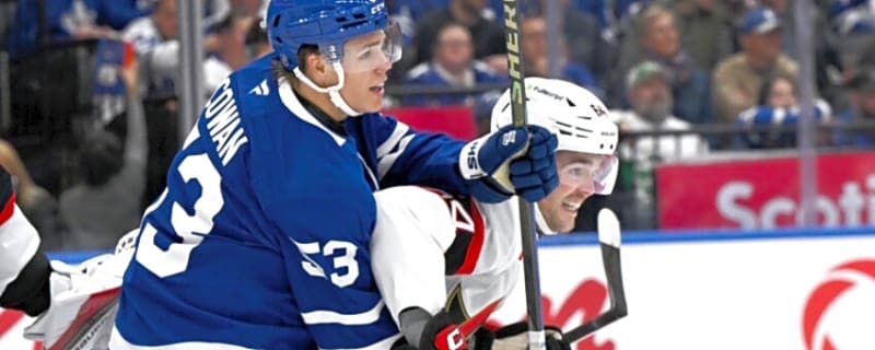 Toronto Maple Leafs are looking for a top-four defenseman