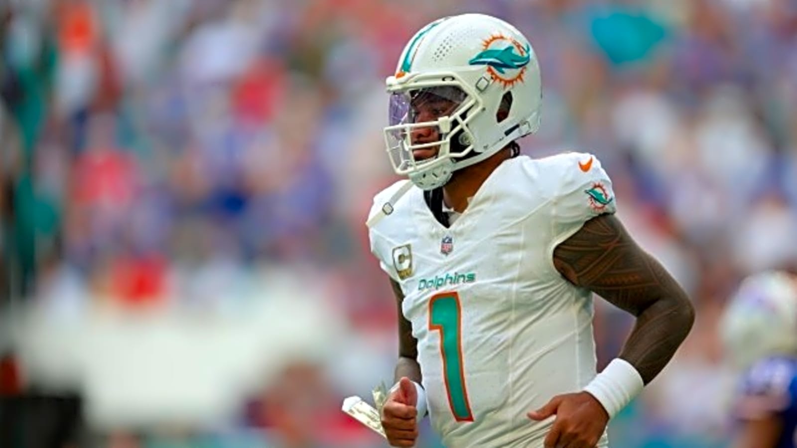 2025 NFL Week 11 Preview & Predictions