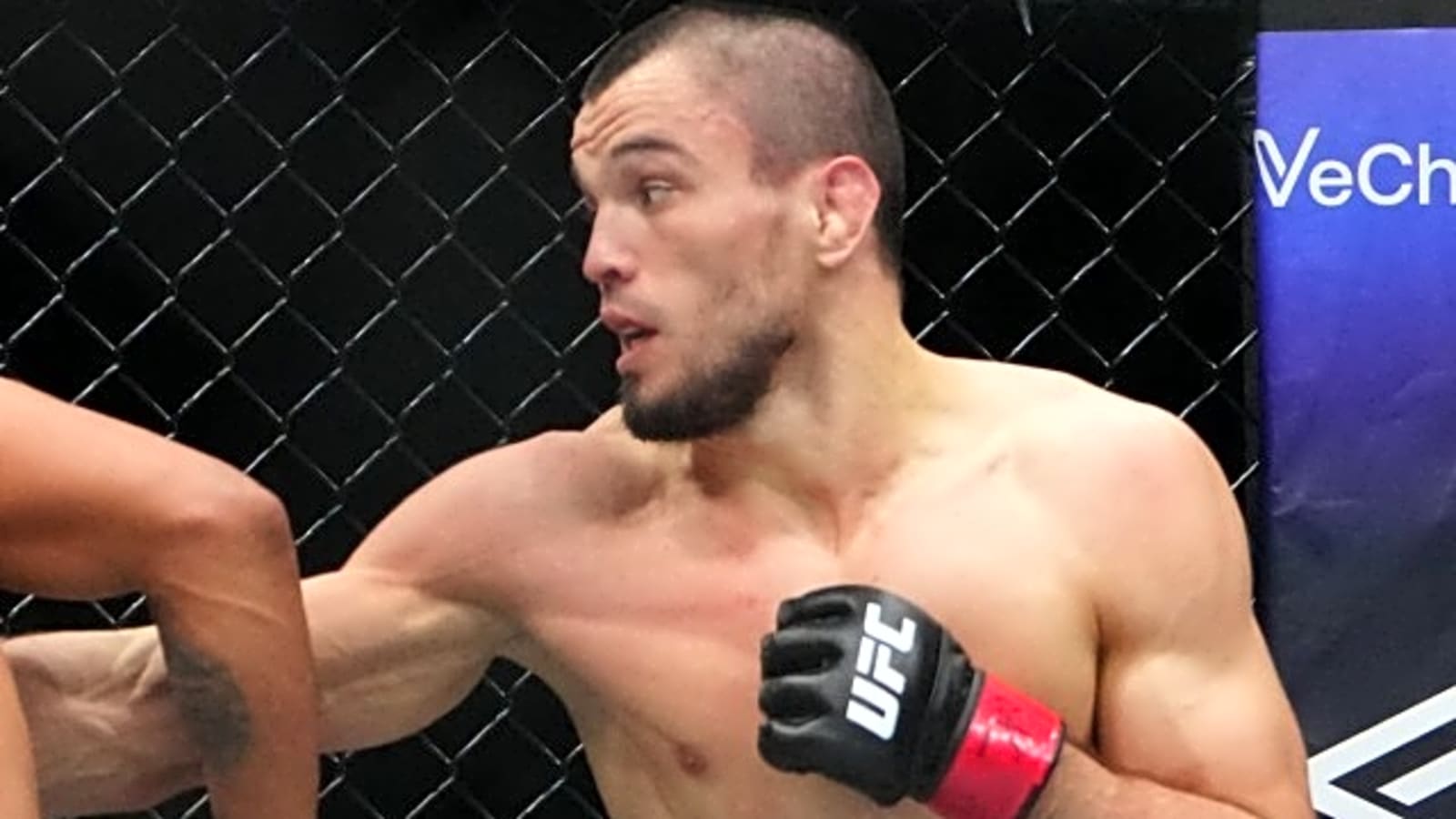 Who Is The Next UFC Bantamweight Challenger, Really?