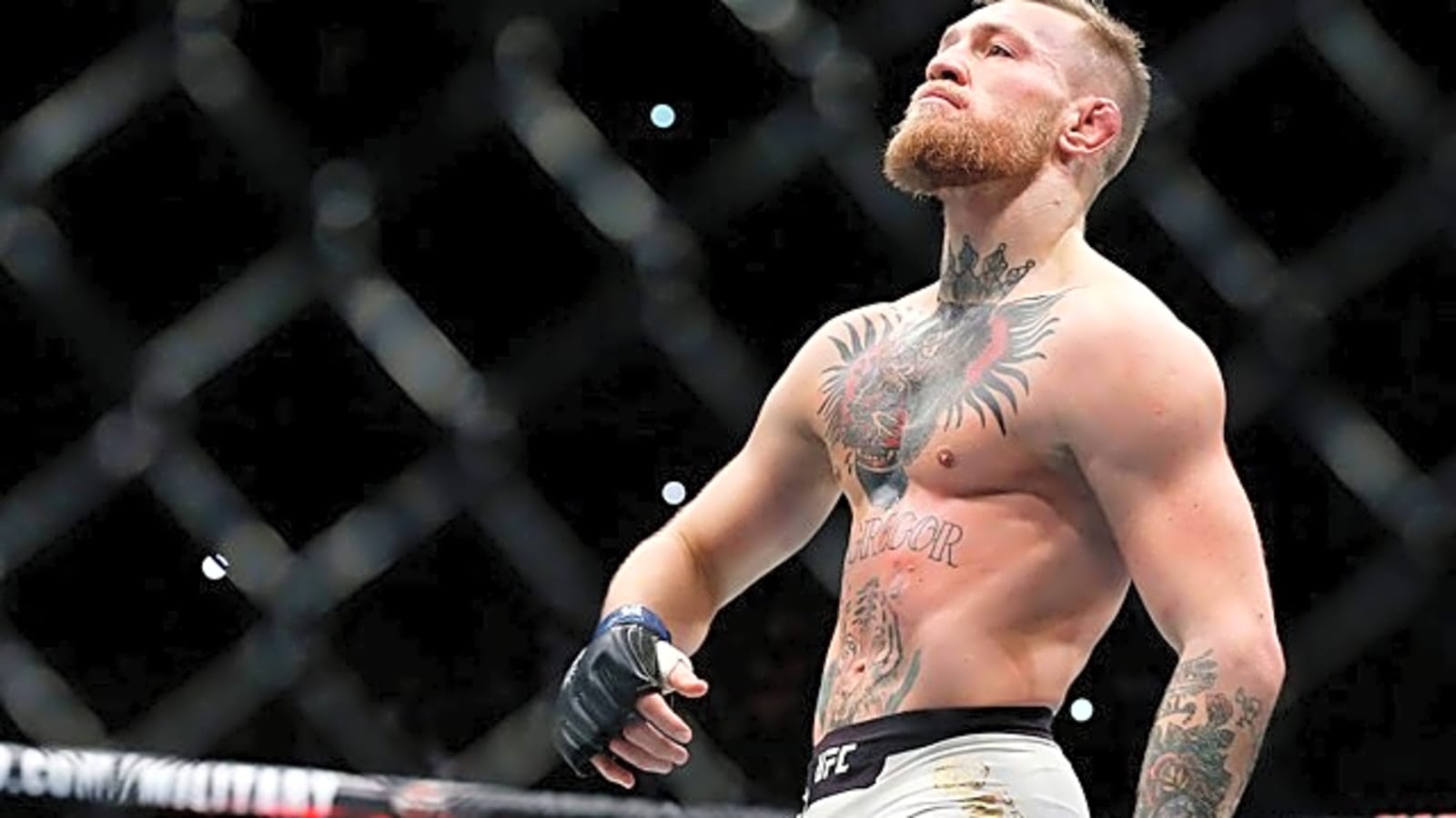Does The UFC Still Need Conor McGregor?