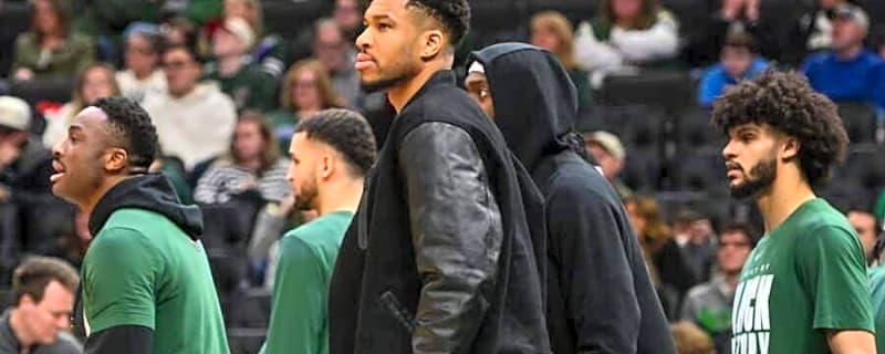 Giannis Antetokounmpo furious after Bucks shutdown that cost him Nike millions