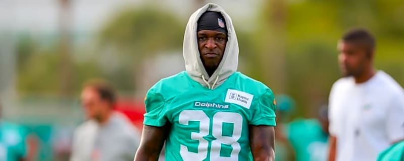 What Are the Dolphins Getting in Hilton?