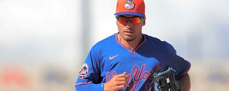 Mets outfielder sends sad message about hitting umpire in head with line drive