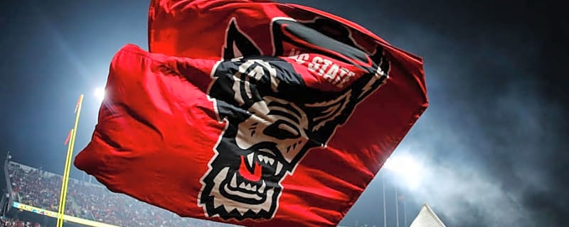 Several Pack Pros Put Together Solid Week 14 Performances