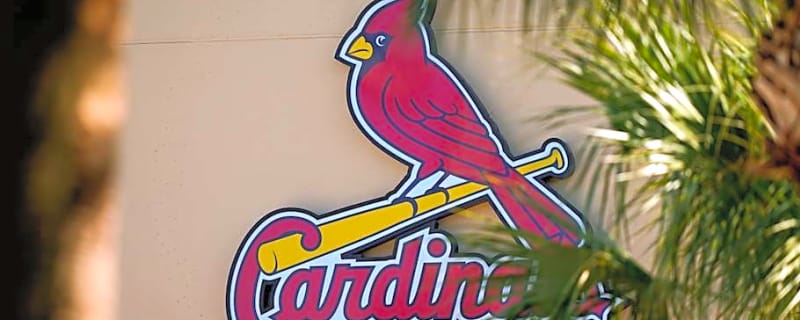 Cardinals Found Perfect Building Block Of The Future
