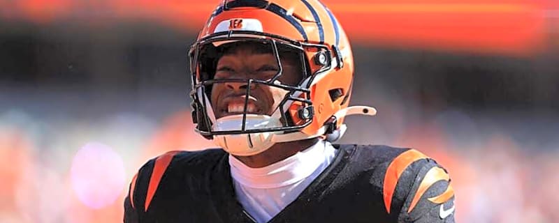 Bengals LB Barrett Carter&#39;s 16 Tackles Against Patriots Among Most in Franchise History for a Rookie