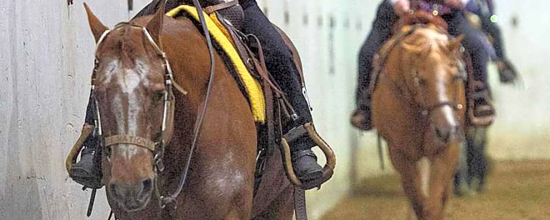 AQHA To Honor Legacy of the Fordham Family With 2025 Show Legacy Award