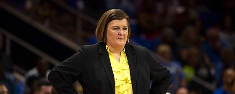 Chicago Sky Hire Veteran Assistant Coach