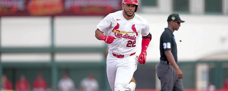 Cardinals' Top Prospect Joshua Baez Can't Stop Hitting Homers in Triple-A