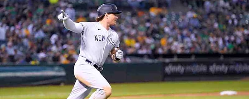 Yankees&#39; Former Home Run King Will Play in Japan