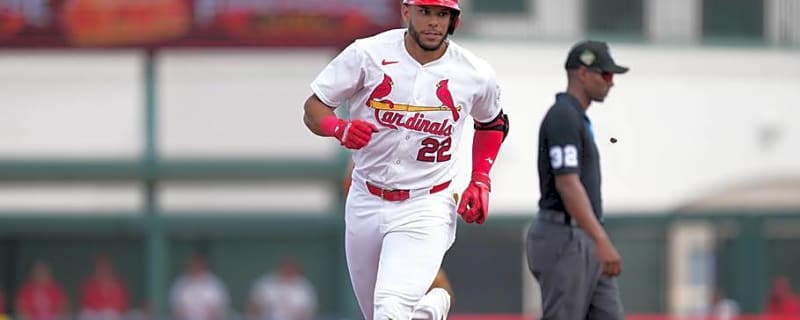 Joshua Báez's 4-Homer Masterpiece Should Have Cardinals Thinking Promotion