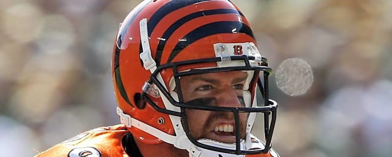 FOX Sports Ranks Former Bengals Passer Carson Palmer Among 10 Best Quarterbacks to Never Win Super Bowl