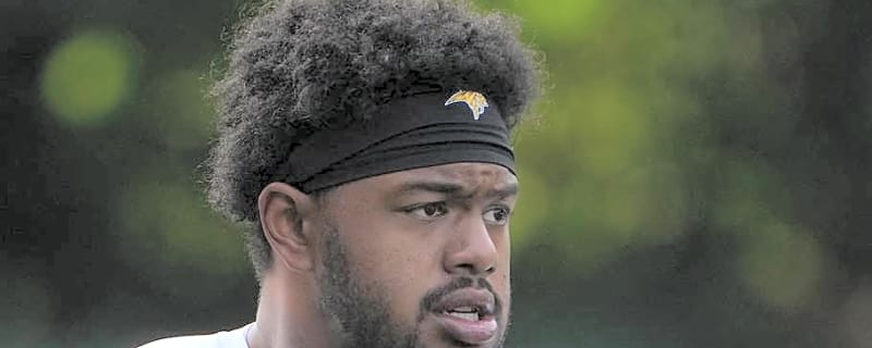 Detroit Lions Had Former Vikings Nose Tackle Visit For Tryout