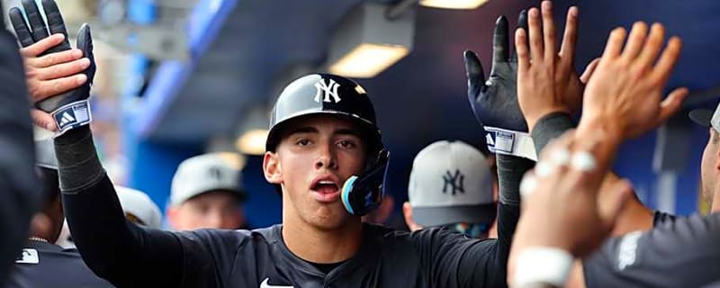 Insider Believes Expectations Unfairly High for Yankees Prospect