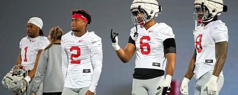 Where 12 Ohio State Buckeyes NFL Draft Hopefuls Could Get Selected