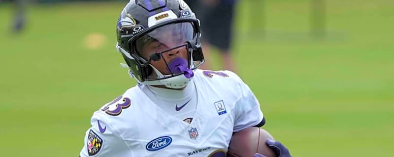 Ravens Offseason Signing Could Be Cut Candidate