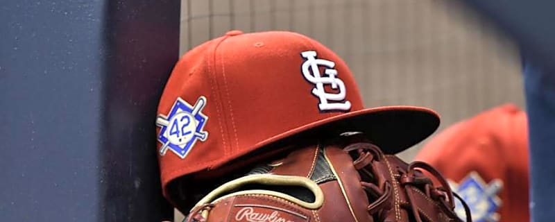 Cardinals Slugger Named &#39;Most Pleasant&#39; Surprise