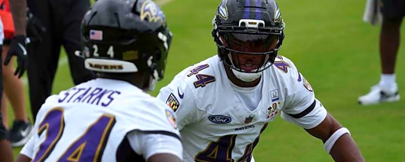 Ravens All-Pro Wants Scary Defense